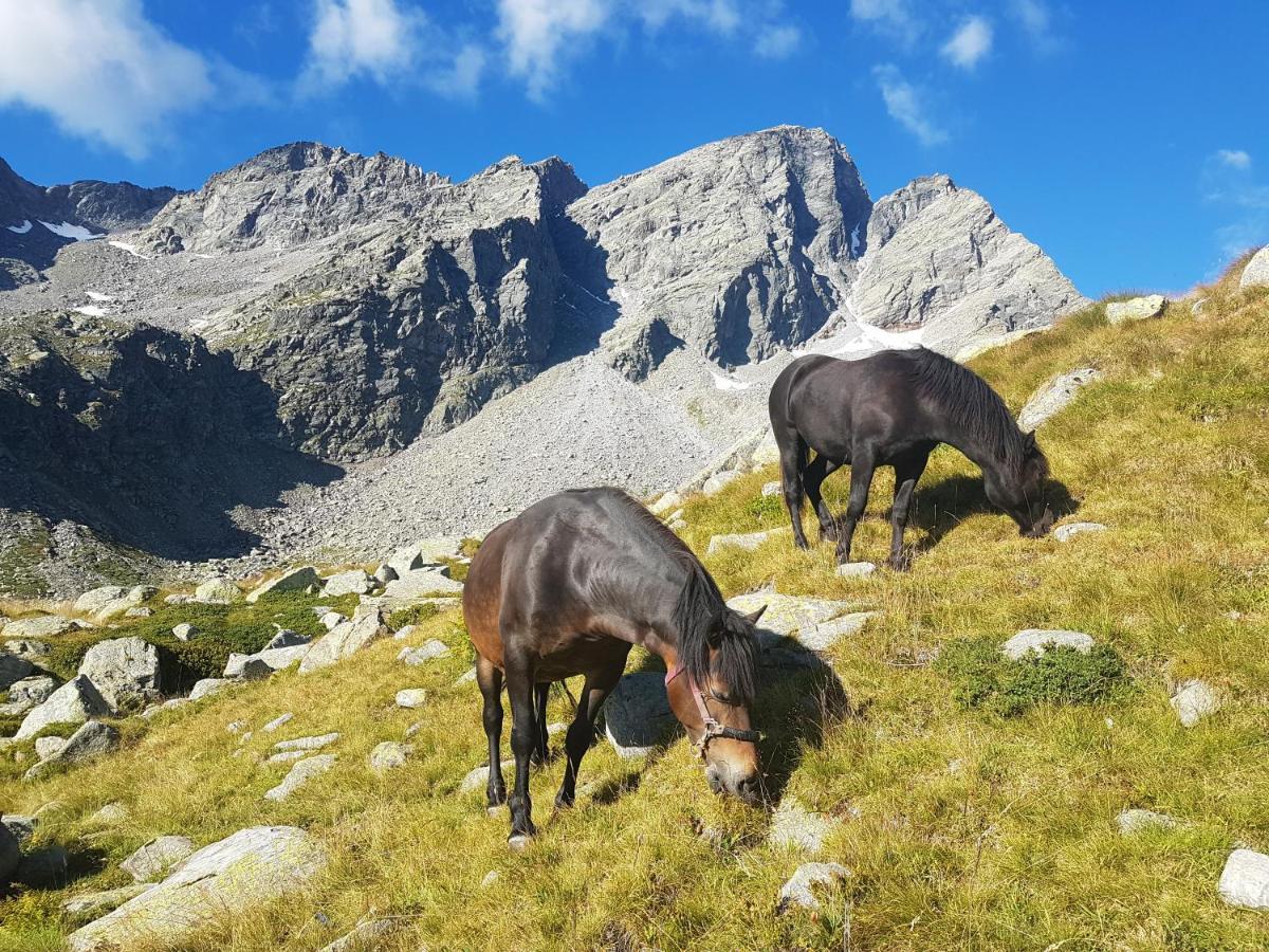 La Mura' - Il Vostro Posto Nel Gran Paradiso Ronco Canavese Exterior foto