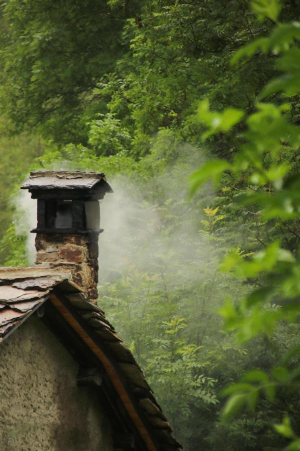 La Mura' - Il Vostro Posto Nel Gran Paradiso Ronco Canavese Exterior foto