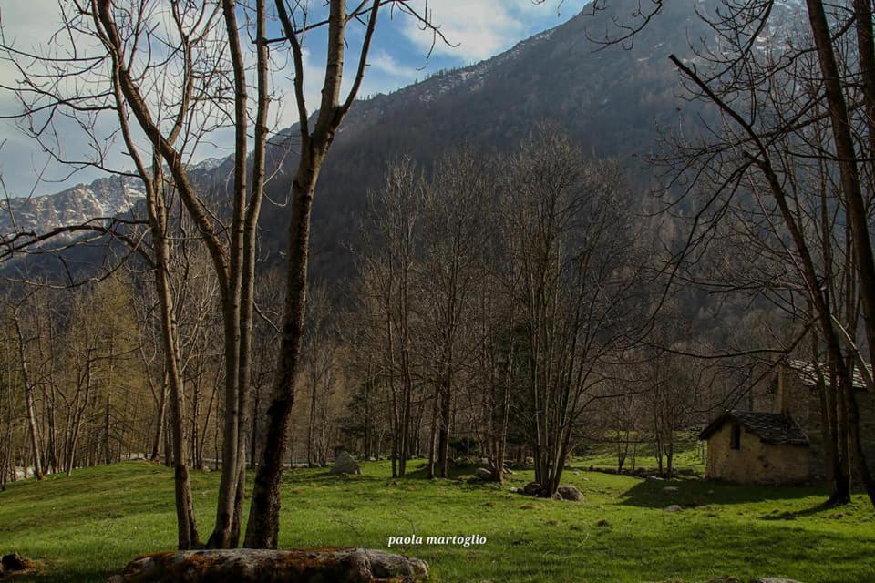 La Mura' - Il Vostro Posto Nel Gran Paradiso Ronco Canavese Exterior foto
