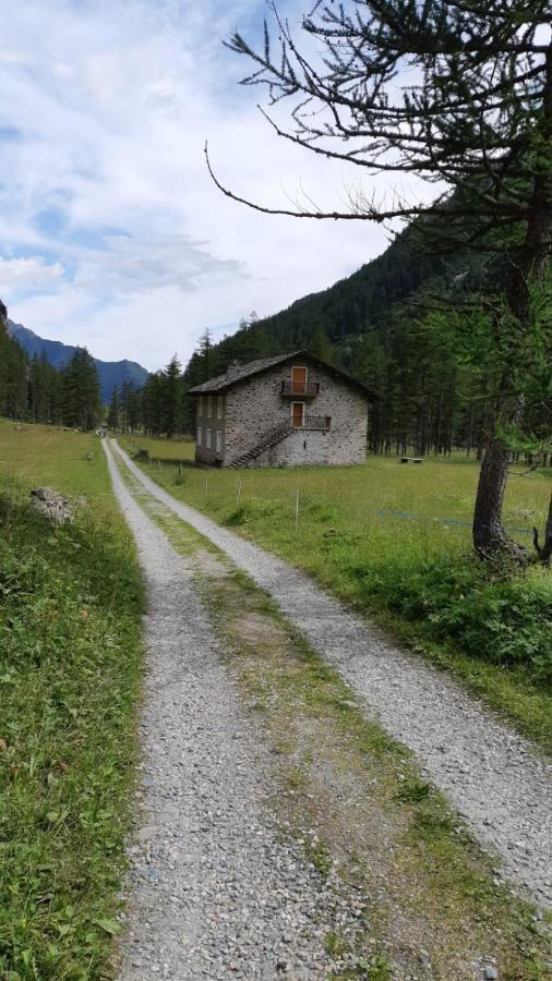 La Mura' - Il Vostro Posto Nel Gran Paradiso Ronco Canavese Exterior foto