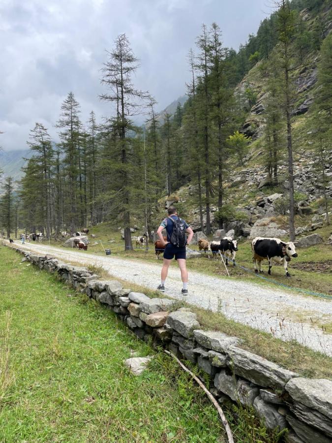 La Mura' - Il Vostro Posto Nel Gran Paradiso Ronco Canavese Exterior foto